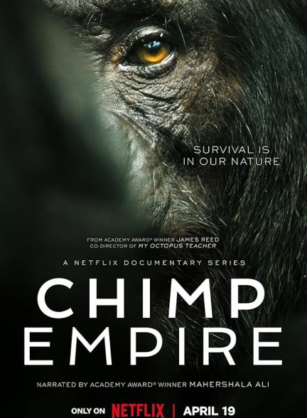 تیزر – سریال Chimp Empire