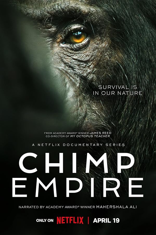 تیزر – سریال Chimp Empire