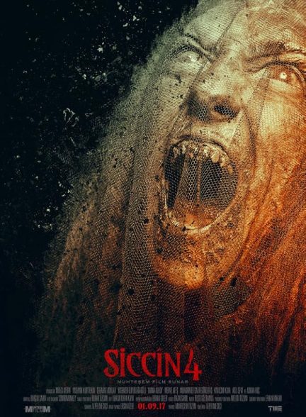 Siccin 4 2017