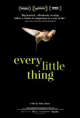 Every Little Thing 2024